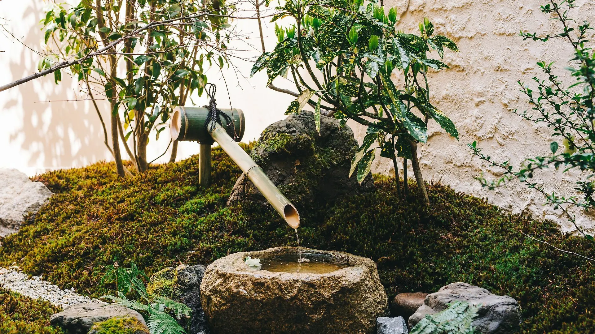 Hostel Koharubiyori 京都市 日本